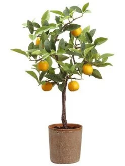 27 Inches Orange Topiary In Pot Green Orange