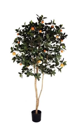 5.5 Foot Artificial Orange Tree On Natural Wood
