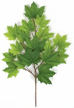 33 Inches Sugar Maple Branch - 18 Leaves - Light Green - FIRE RETARDANT
