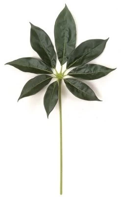 32 Inches Schefflera Branch - 8 Leaves - Dark Green - FIRE RETARDANT