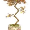 3.5 Feet Mini Japanese Maple Faux Bonsai Multi Fall