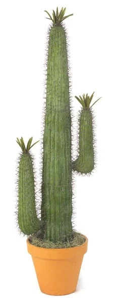 4 Feet Saguaro With Leaves