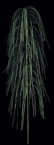 35 Inches PVC Rain Grass Sold By The Dozen