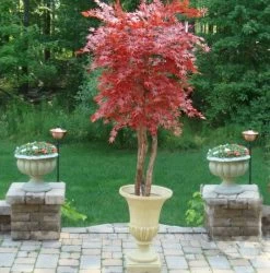 Custom Made Burgundy Polyblend Outdoor Japanese Maple Tree