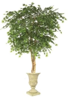 Custom Made Polyblend Outdoor Japanese Maple Tree
