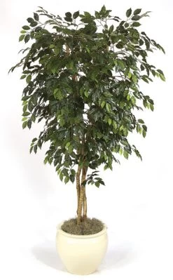 Life Like Ficus Tree Fire Retardant