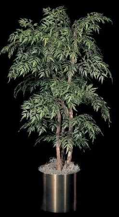 Custom Made Lace Aralia Tree