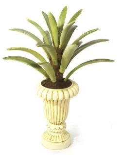 Agave Plant On Natural Trunk