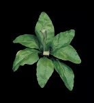 Faux Life Like Birds Nest Fern Plant