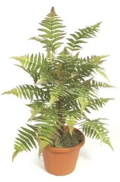 Faux Life Like 34 Inches Forest Fern Cluster House Plant