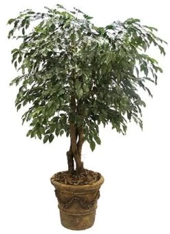 W-0157 Polyblend Outdoor Ficus Tree On Natural Wood Custom Made To Perfection