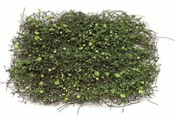 Select From 2 Different Sizes! 18 Inches Twig Mat Sold In A Set Of 3 & 32 Inches X 32 Inches Sold By The Mat