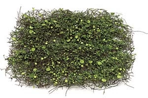 Select From 2 Different Sizes! 18 Inches Twig Mat Sold In A Set Of 3 & 32 Inches X 32 Inches Sold By The Mat