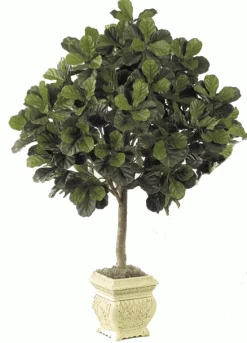 Faux Fiddle Leaf Fig Tree In 5.5 Feet & 7 Feet Tall Heights