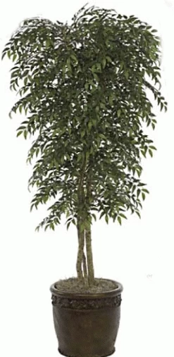 Custom Made To Order Smilax Tree