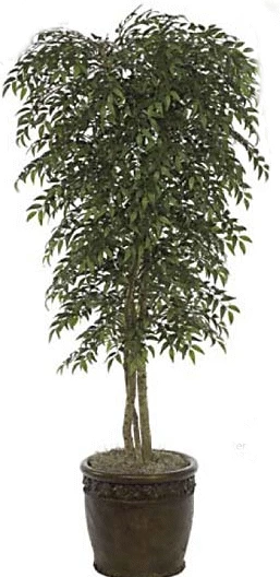 Custom Made To Order Smilax Tree