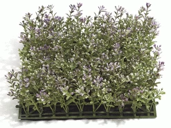 A-50220 Plastic Boxwood Mat - 100 Sets Of Leaves - 10 Inches Square - Purple/Green (Sold In A Set Of 3)