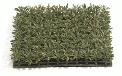 A-61340 Plastic Hibiscus Leaf Mat - 10 Inches Square - Brown/Green (sold In A Set Of 3)