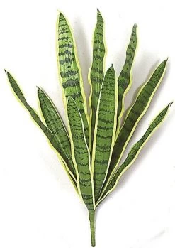 Faux Life Like 27.5 Inches Foam Sansevieria Bush Soft Touch
