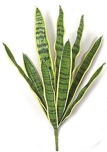 Faux Life Like 27.5 Inches Foam Sansevieria Bush Soft Touch