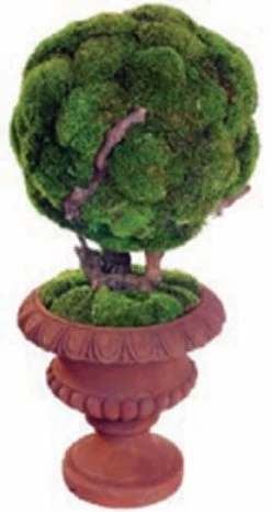 40 Inch Zen Preserved Moss Bonsai In Urn