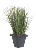 A-80750 16 Inches X 6 Inches PVC Reed/Onion Grass - 800 Green Stems - 7 Reeds - Square Black Iron Pot