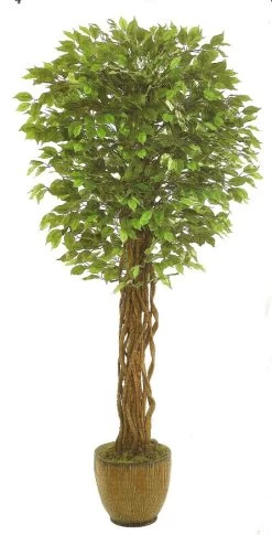 EF-8005 5 Feet Outdoor UV Coated Ficus Tree