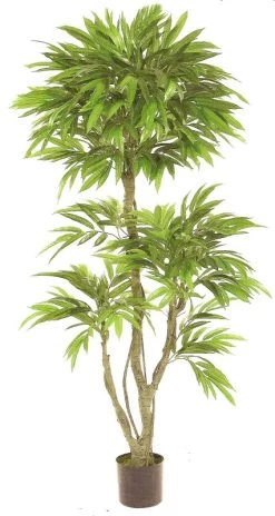 EF-8001 6 Feet Outdoor Mango Tree UV Coated Leaves With Pot Shown.