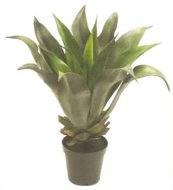 EF-5433 32 Inches Agave Natural Touch Potted Succulent