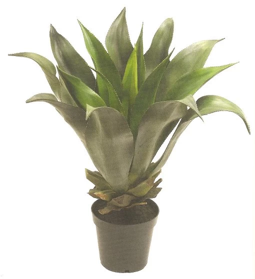 EF-5433 32 Inches Agave Natural Touch Potted Succulent