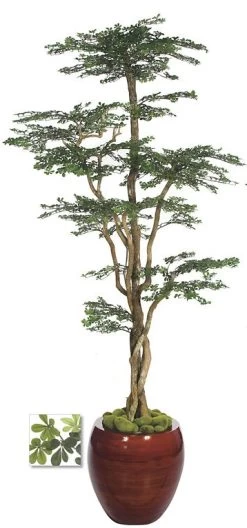 W-70208 8 Feet Boxwood Shelf Tree - Natural Trunk - 11,340 Green Leaves - 50 Inches Width