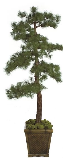 W-80020 7 Feet PVC Pine Tree - Synthetic Trunk - 366 Green Leaves - 34 Inches Width
