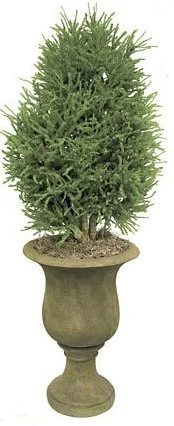 W-60021 3 Feet PVC Lycopodium Shrub - Natural Trunks - Green