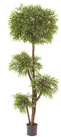 EF-1811 6 Foot Ruscus Quadruple Ball Tree