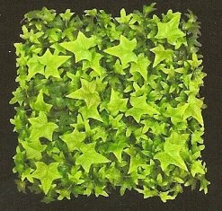 A-2534 12 Inches Outdoor UV Rated English Ivy Mat (Sold In A Set Of 6pc)