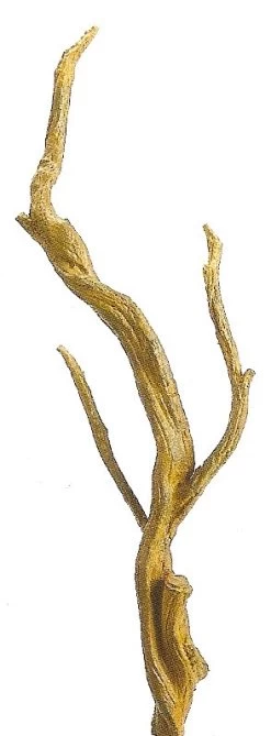 EF-QST802 39 Inches Plastic Wood Trunk Brown Color (Sold In A Set Of 2pc)