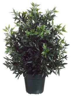 EF-LPS230-GR 32"SKIMMIA BUSH (Price Is For A 4 PC SET)
