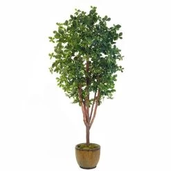 EF-1806 7 Feet Black Olive Tree W/2700 Leaves On A Natural Wood Trunk
