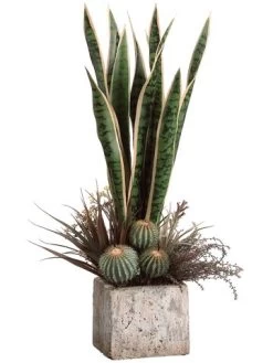 EF-3007 26"Hx14"Wx14"L Sansevieria/Lavender In Pot Green Variegated