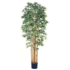 EF-1866 7 Feet Bamboo Japanica Tree With 12 Natural Trunks W/4080 Lvs