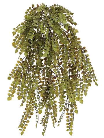 EF-008 23.5 Inches Plastic Button Fern Hanging Bush Green Indoor/Outdoor (Sold In A 4 Pc Set)