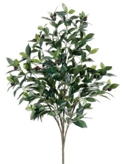 EF-135 3.5 Feet Olive Tree Two Tone Green (Bare Stem) (Price Is For A 6pc Set)