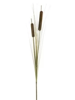 EF-811 32 Inches Cattail Spray X2 Dark Brown (Price Is For A 1 DZ Set)