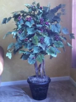 EF-2314 Custom Made To Order Faux Grape Tree Bush Natural Wood Trunk Sizes Start From 3 Feet Tall To 5 Feet Tall.