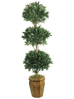 EF-1002 6 Feet Sweet Bay Ball-Shaped Tree In Hex Wood Container