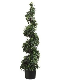 EF-234 48 Inches Citrus Leaf Spiral Topiary In Pot Two Tone Green (Price Is For A 2 PC Set)