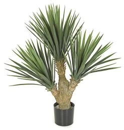 28 Inches Outdoor Plastic Baby Yucca Plant - Synthetic Trunk - 3 Heads - 24 Inches Width