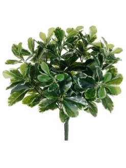 EF-0105 16.5 Inches Uv Outdoor Baby Schefflera Bush Green (Price Is For 12 Pc Set)