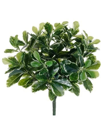 EF-0105 16.5 Inches Uv Outdoor Baby Schefflera Bush Green (Price Is For 12 Pc Set)