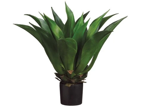 EF-616 33 Inches Giant Mexican Agave In Plastic Pot Green